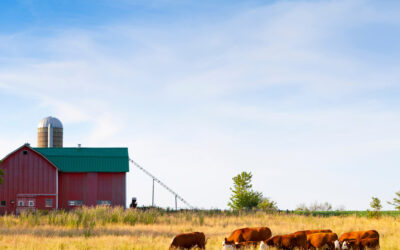 Summer on the Farm: Insurance That Grows with the Heat